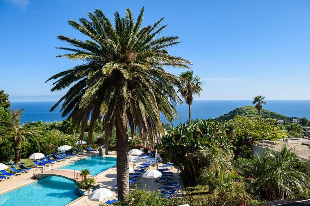 B&B Hotel San Nicola Ischia - Gallery 3
