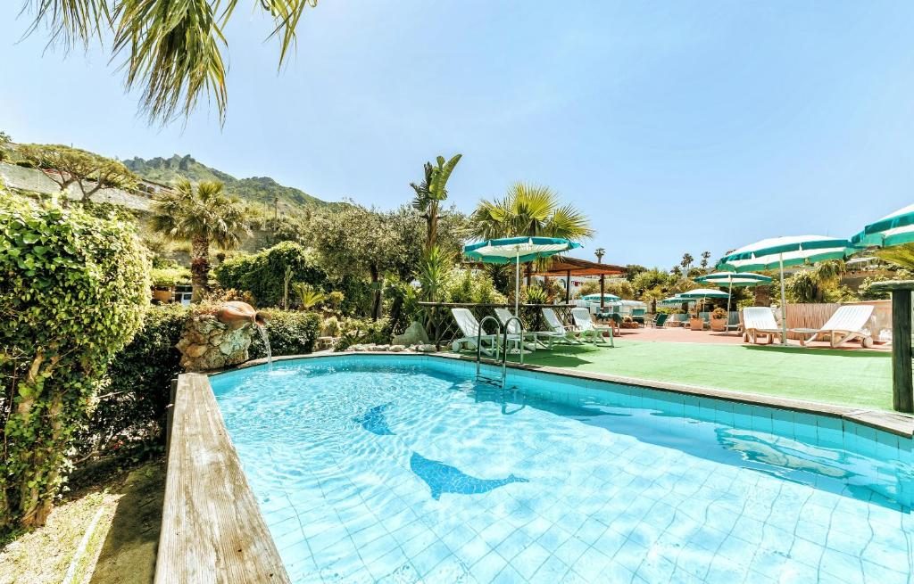 Hotel Galidon Ischia - Gallery 4